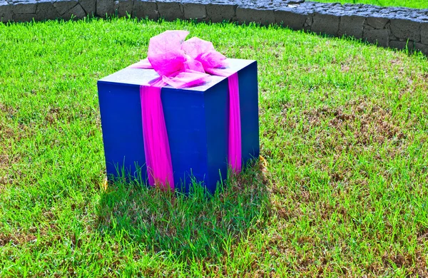 Bir kutusunda paketlenmiş hediye — Stok fotoğraf