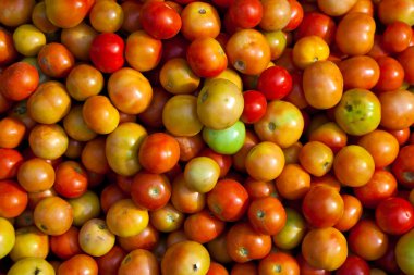 Tomatoes at the market clipart