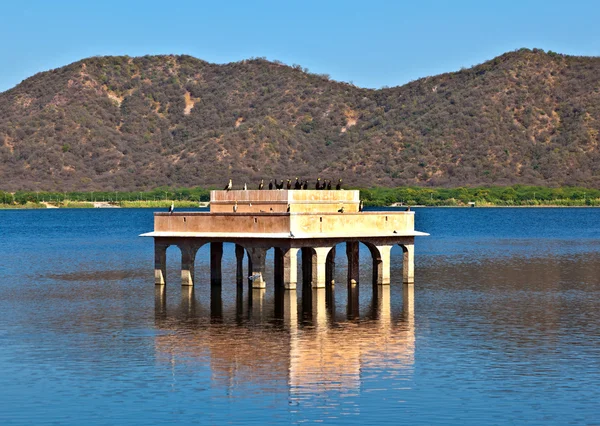Бакланы во Дворце водных ресурсов (Джал Махал) на озере Ман Сагар. Джайпур , — стоковое фото