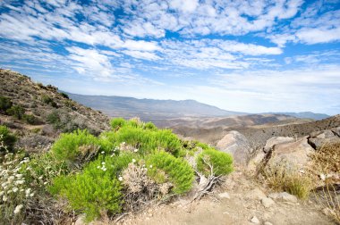 Colorful desert landscape clipart