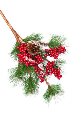 Decorated Christmas tree branch clipart