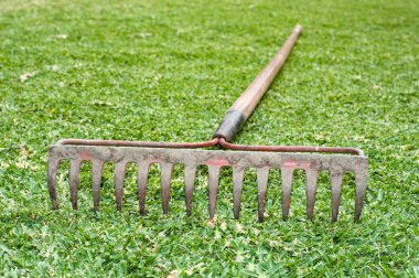 Rake in grass clipart