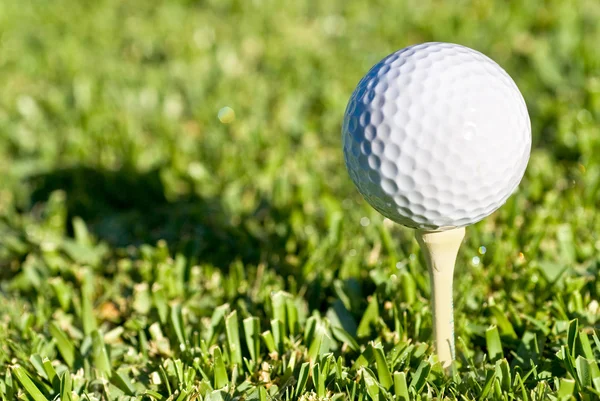 Golf bal schaduw — Stockfoto