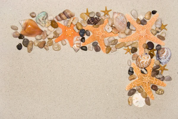 Deniz kabuğu çerçeve — Stok fotoğraf