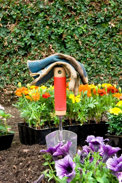Kertészeti berendezések és virágok — Stock Fotó