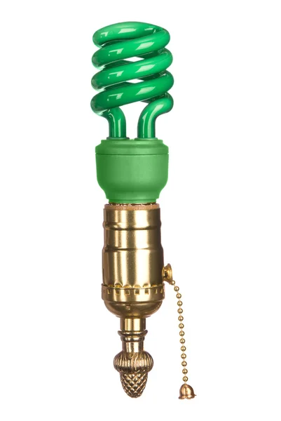 stock image Energy efficient green light bulb