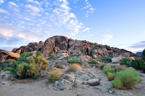 砂漠山の朝 — ストック写真