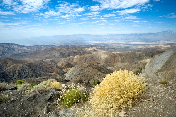 Красочный пустынный пейзаж — стоковое фото
