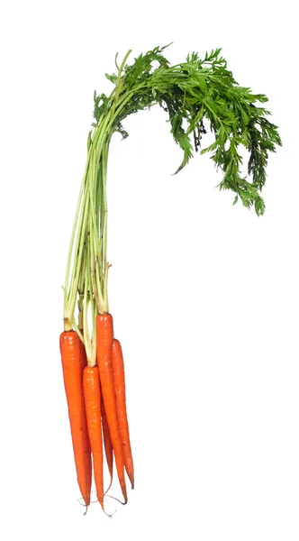 Μάτσο καρότα που απομονώνονται σε λευκό — Φωτογραφία Αρχείου