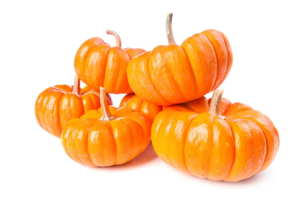 Pumpkins on a white background — Stock Photo, Image