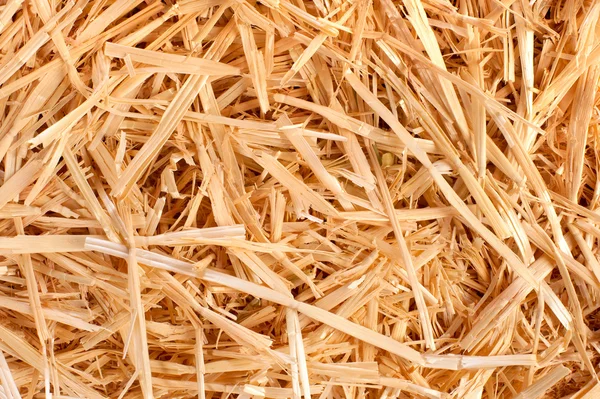 Um close-up de feno colhido — Fotografia de Stock