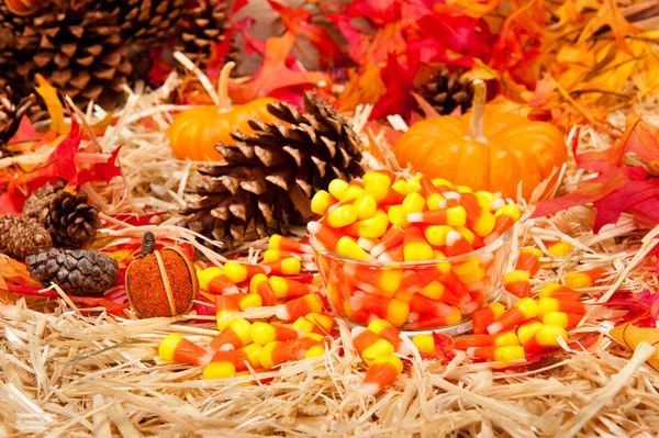 Autumn theme with candy — Stock Photo, Image