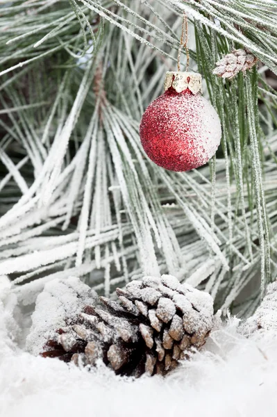 Χριστουγεννιάτικο στολίδι που κρέμονται από κλαδί πεύκου — Φωτογραφία Αρχείου