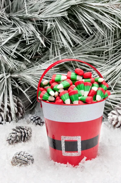 Dekorativer Eimer mit Weihnachtsbonbons — Stockfoto