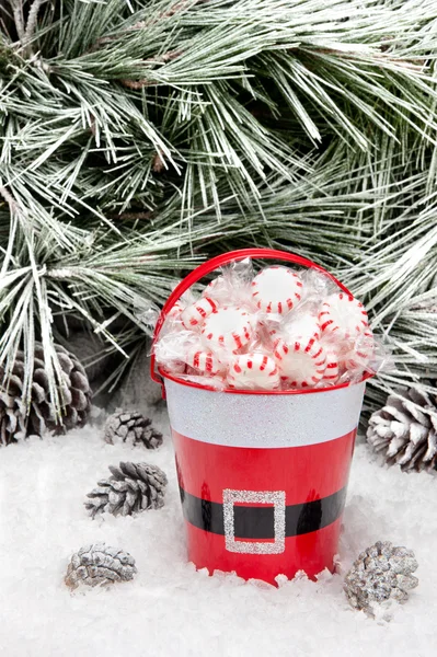 Secchio decorativo di caramelle di Natale — Foto Stock