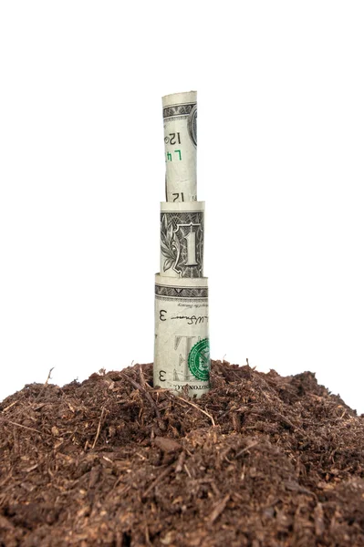 Środków pieniężnych, wyrastające z ziemi — Zdjęcie stockowe