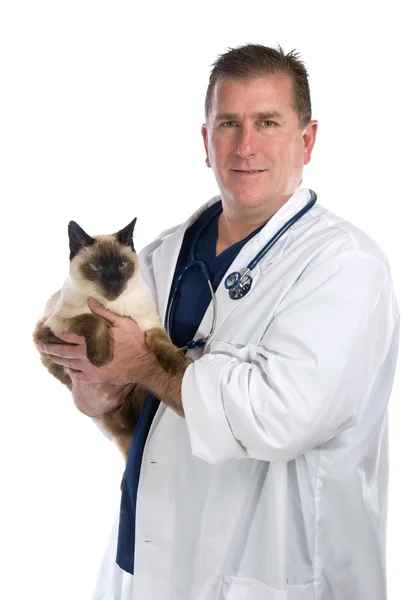 Κτηνίατρος με γάτα — Φωτογραφία Αρχείου
