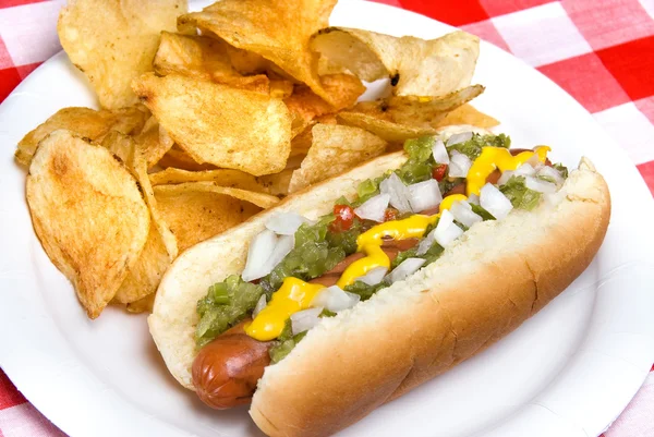 Hotdog és burgonya chips — Stock Fotó