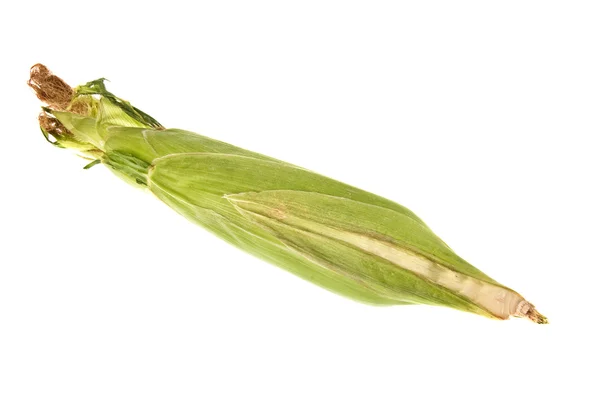 Fresh corn on the cob unpeeled — Stock Photo, Image