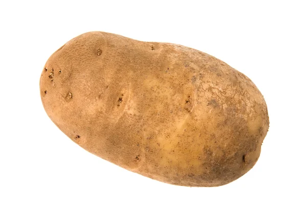 Cartofi izolați — Fotografie, imagine de stoc