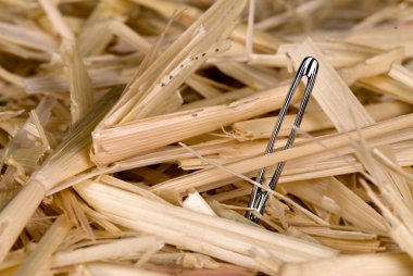 Needle in haystack clipart