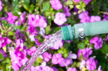 Watering a garden clipart