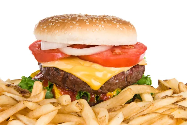 ハンバーガーとフライドポテト — ストック写真