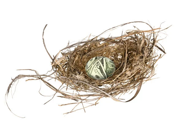 Фінансові гнізда яйце — стокове фото