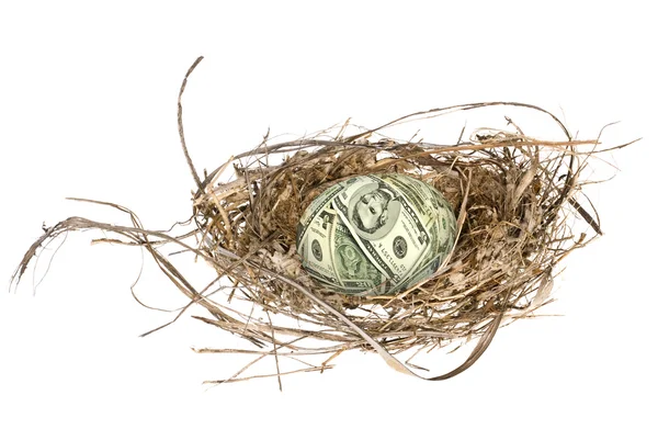 Financial egg nest — Stock Photo, Image