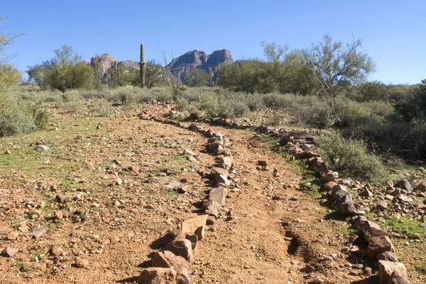 Camino remoto del desierto — Foto de Stock