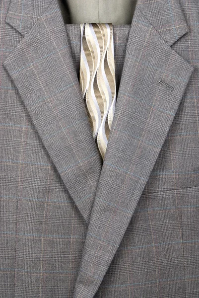 Traje de negocios y corbata — Foto de Stock