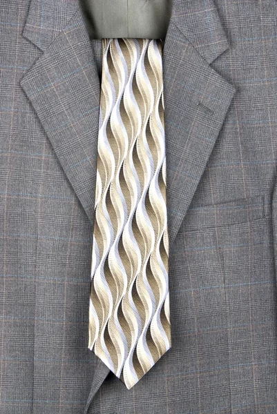 Επαγγελματικό κοστούμι και γραβάτα — Φωτογραφία Αρχείου