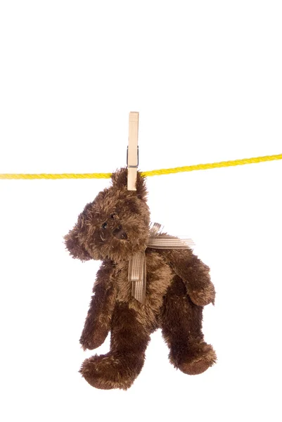Nallebjörn hängande från ett klädstreck — Stockfoto