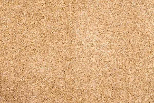 Nagelneuer beiger Teppich — Stockfoto