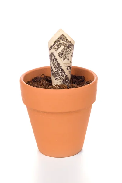 Argila vaso de flores e dinheiro — Fotografia de Stock