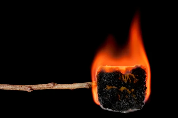 Burning marshmallow on a stick — Stock Photo, Image