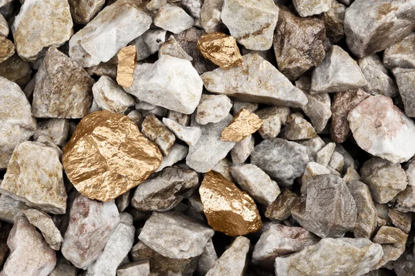 stock image Golden nuggets in river bed