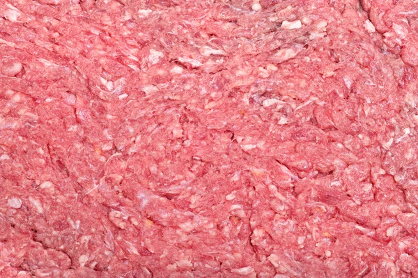 Ruwe gemalen rundvlees — Stockfoto