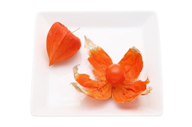 Physalis alkekengi (Çince fenerler)