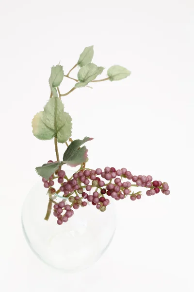 Garrafa de vidro e uvas — Fotografia de Stock