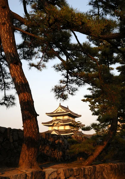 Historický zámek v Japonsku — Stock fotografie