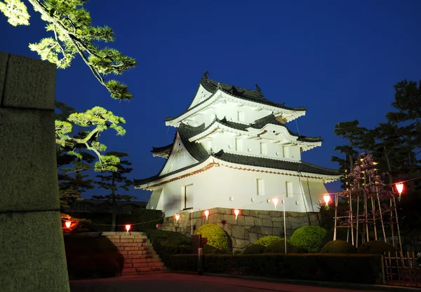 Historiska slott i japan — Stockfoto