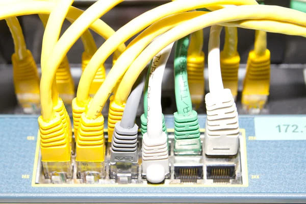 Geel, wit en groen netwerkkabels — Stockfoto