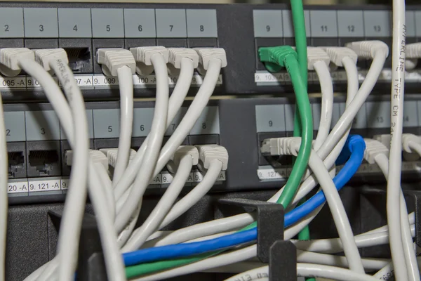 Cables de red blancos y verdes —  Fotos de Stock