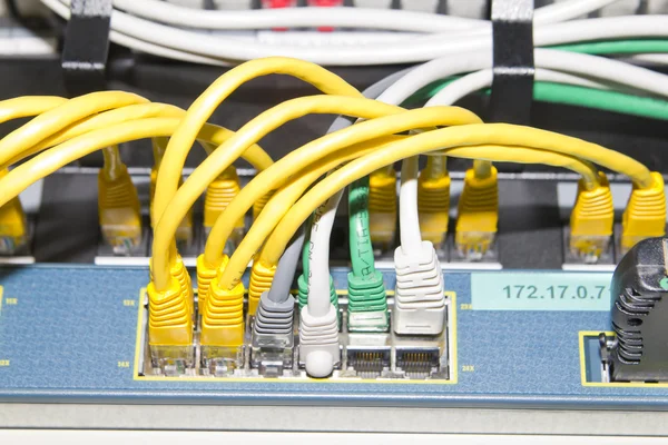 Žluté, bílé a zelené síťové kabely — Stock fotografie