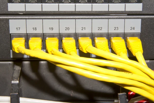Câbles réseau jaunes — Photo