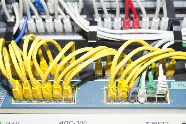 红色、 黄色、 白色和绿色的网络电缆 — 图库照片