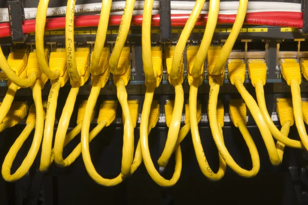 Cables amarillos — Foto de Stock