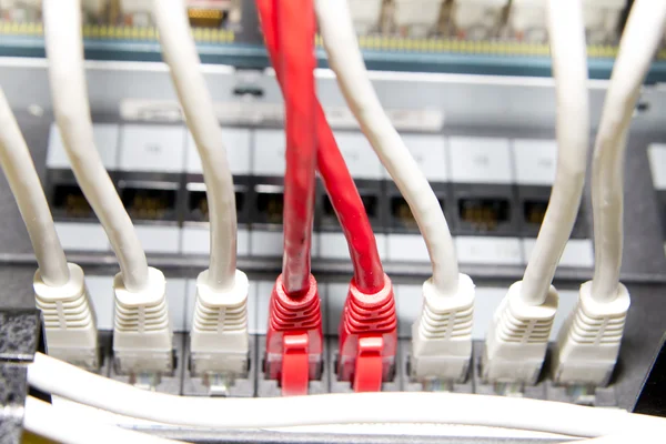 红色和白色的网络电缆 — 图库照片
