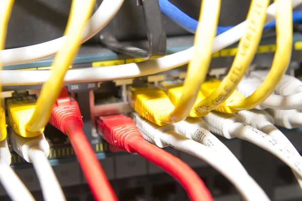 Câbles réseau rouges, jaunes et blancs — Photo